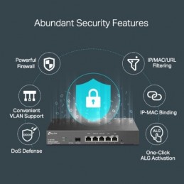 TP-LINK TL-ER7206 router...