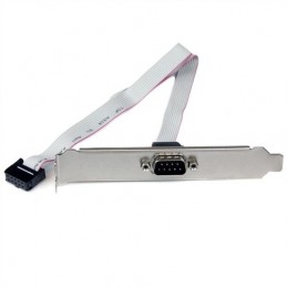 StarTech.com Adaptador de...